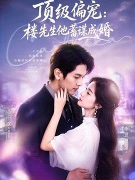 顶级偏宠：楼先生他蓄谋成婚（换嫁楼先生）海报