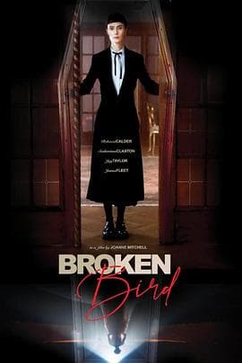 折翼鸟海报