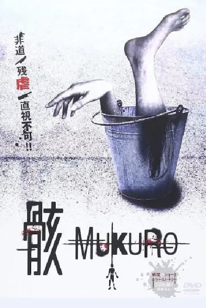 骸海报