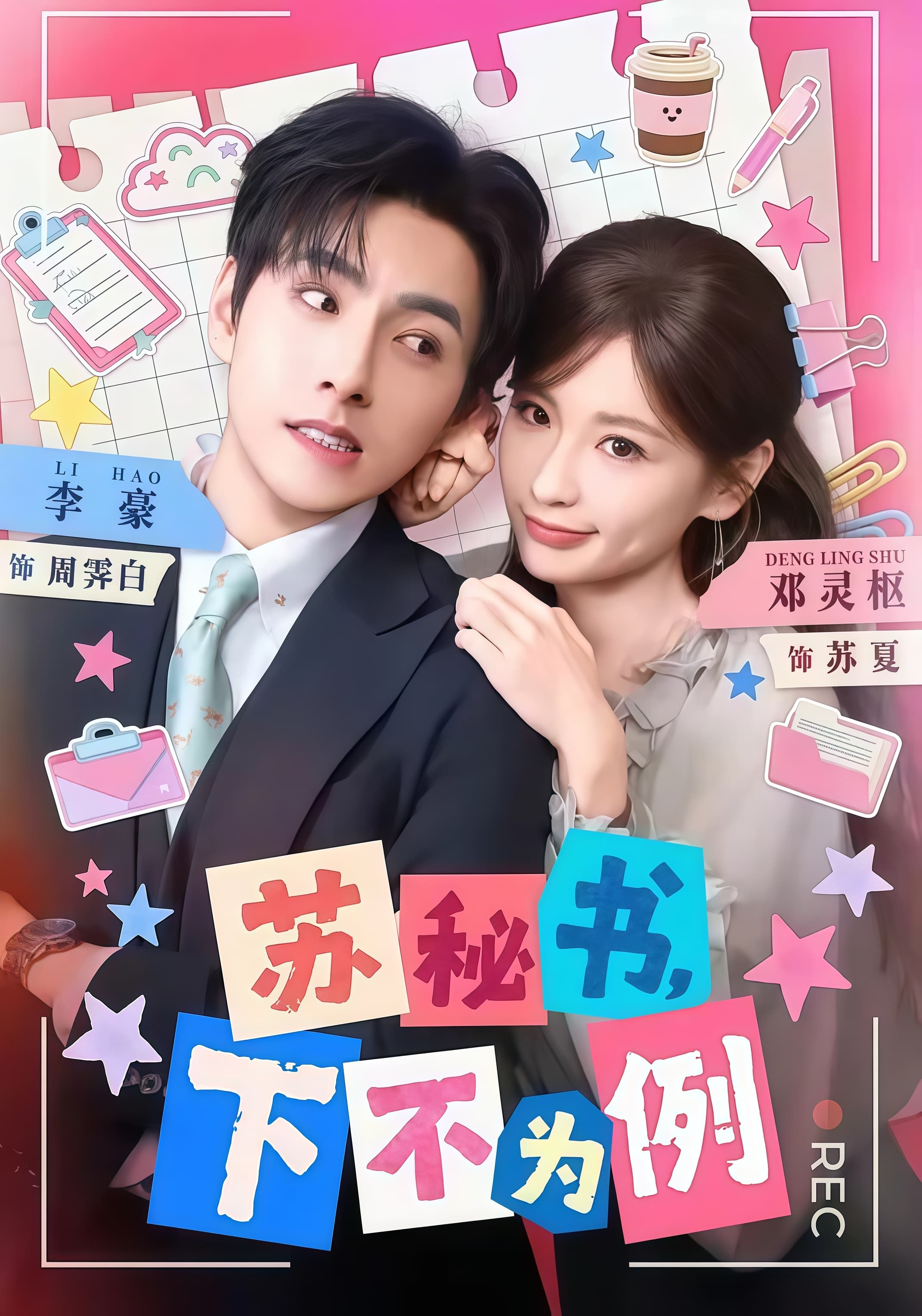苏秘书,下不为例海报