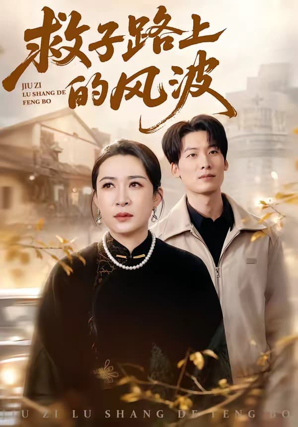 救子路上的风波海报