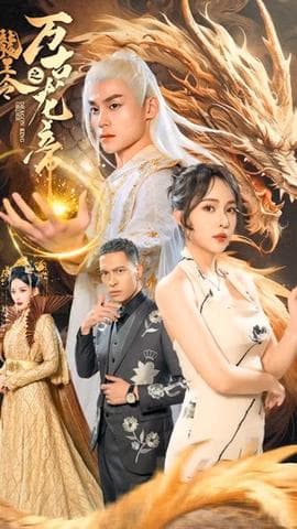 圣贤妙手海报