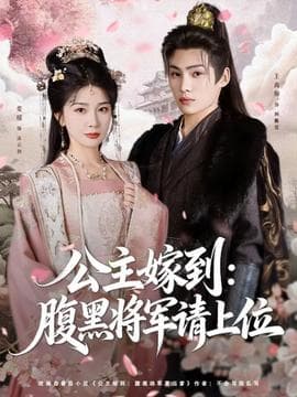 公主嫁到：腹黑将军请上位海报