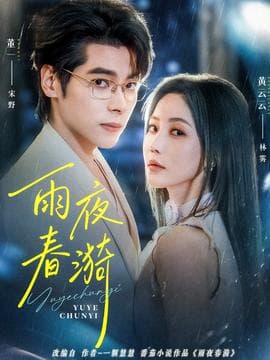 雨夜春漪海报
