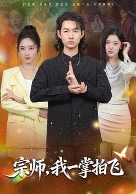 宗师，我一掌拍飞海报