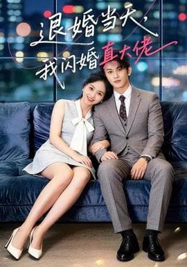 退婚当天，我闪婚真大佬海报
