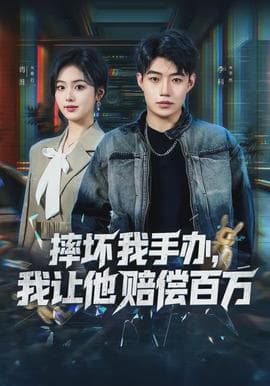 摔坏我手办，我让他赔偿百万海报