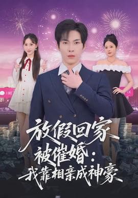 放假回家被催婚：我靠相亲成神豪海报