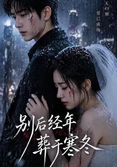 别后经年，葬于寒冬海报