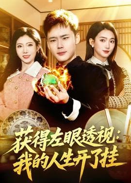 获得左眼透视：我的人生开了挂海报