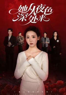 她从夜色深处来海报