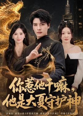 你惹他干嘛，他是大夏守护神海报