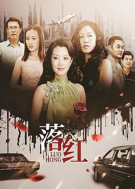 落红海报