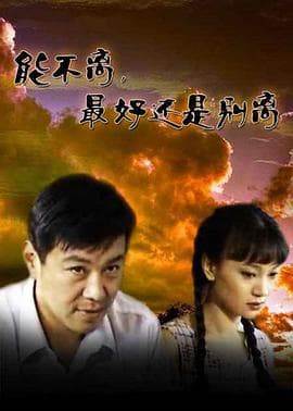 能不离，最好还是别离海报
