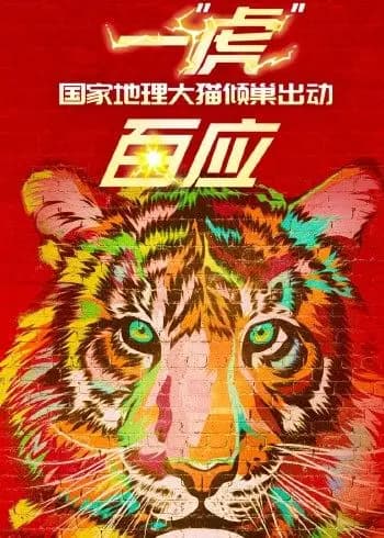 一“虎”百应海报